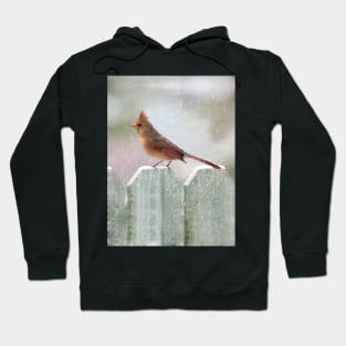 Female Cardinal Snowy Day Hoodie